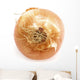 Onion Wall Mural