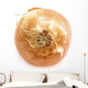 Onion Wall Mural