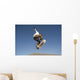 Low Angle View Of Young Male Skateboarder Wall Mural