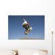 Low Angle View Of Young Male Skateboarder Wall Mural