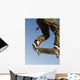 Low Angle View Of Young Male Skateboarder Wall Mural