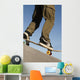 Low Angle View Of Young Male Skateboarder Wall Mural