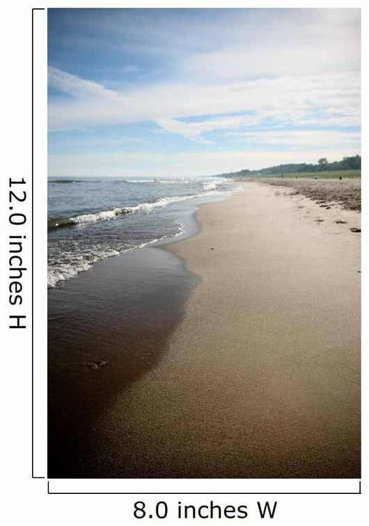 Lake Michigan Shoreline Beach