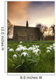 White Flowers With A Small Church In Background Wall Mural