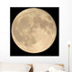 Full Moon Wall Decal Design 2