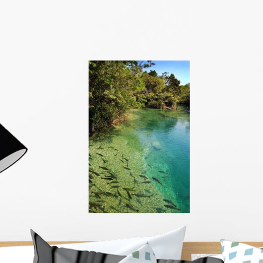 Rios Cristalinos Wall Decal Design 2