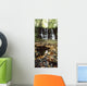 Waterfalls, During The Autumn, Glenoe Co Antrim Wall Mural