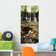 Waterfalls, During The Autumn, Glenoe Co Antrim Wall Mural
