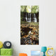 Waterfalls, During The Autumn, Glenoe Co Antrim Wall Mural