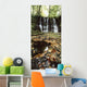 Waterfalls, During The Autumn, Glenoe Co Antrim Wall Mural