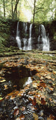 Waterfalls, During The Autumn, Glenoe Co Antrim Wall Mural