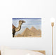 A Camel With The Pyramids In The Background Wall Mural