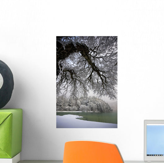 Snowy Shoreline Of A Lake Wall Mural