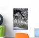 Snowy Shoreline Of A Lake Wall Mural