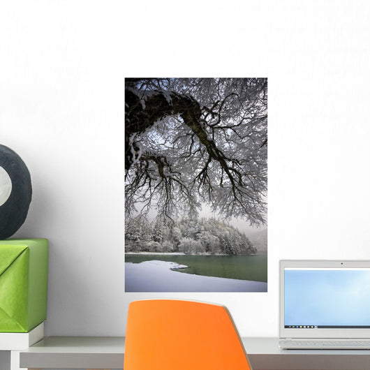 Snowy Shoreline Of A Lake Wall Mural