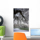 Snowy Shoreline Of A Lake Wall Mural
