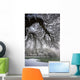 Snowy Shoreline Of A Lake Wall Mural