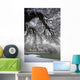 Snowy Shoreline Of A Lake Wall Mural