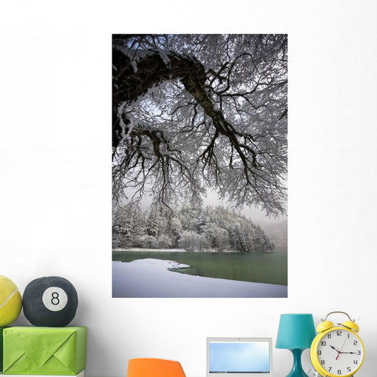 Snowy Shoreline Of A Lake Wall Mural