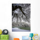 Snowy Shoreline Of A Lake Wall Mural