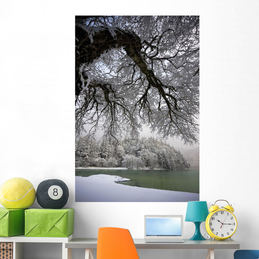 Snowy Shoreline Of A Lake Wall Mural