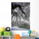 Snowy Shoreline Of A Lake Wall Mural