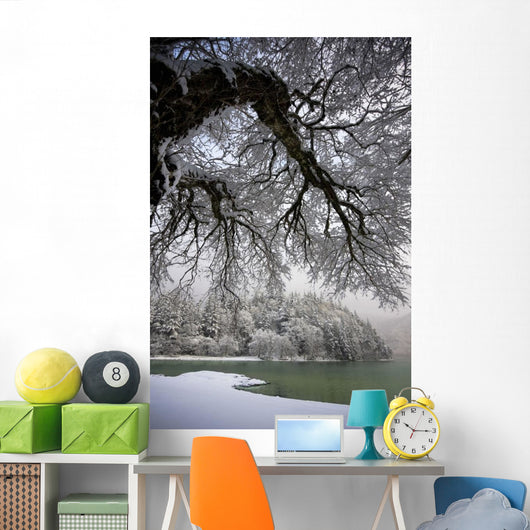 Snowy Shoreline Of A Lake Wall Mural