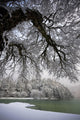 Snowy Shoreline Of A Lake Wall Mural