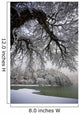 Snowy Shoreline Of A Lake Wall Mural