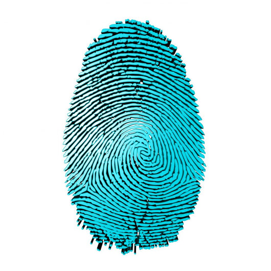 Fingerprint Wall Decal