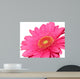 pretty in pink Wall Decal
