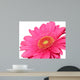 pretty in pink Wall Decal