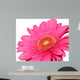 pretty in pink Wall Decal