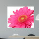 pretty in pink Wall Decal