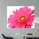 pretty in pink Wall Decal
