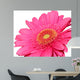 pretty in pink Wall Decal