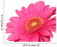 pretty in pink Wall Decal