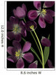 Purple Tulips Wall Mural