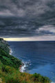 Storm Wall Decal Design 1
