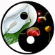 Yin-yang 2 Wall Decal