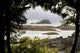 Coastal Scene, Tofino, British Columbia, Canada Wall Mural
