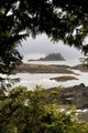 Coastal Scenery, Tofino, British Columbia, Canada Wall Mural