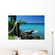 Caribbean Wall Decal