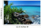 Caribbean