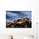Old Us Army Trucks Wall Decal