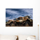 Old Us Army Trucks Wall Decal