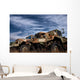Old Us Army Trucks Wall Decal