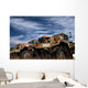 Old Us Army Trucks Wall Decal