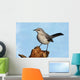 Northern Mockingbird (Mimus polyglottos) Wall Mural