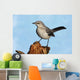 Northern Mockingbird (Mimus polyglottos) Wall Mural